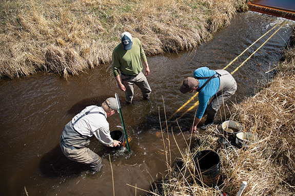 Jefferson River, Fly Fishing, Trout Unlimited