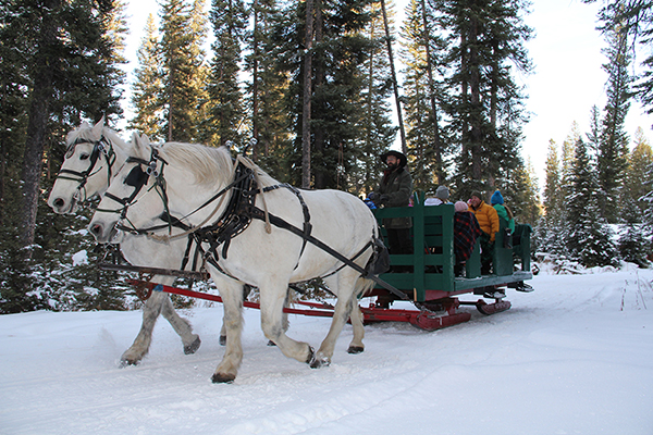 Lone Mountain Ranch Sleigh Ride Dinner