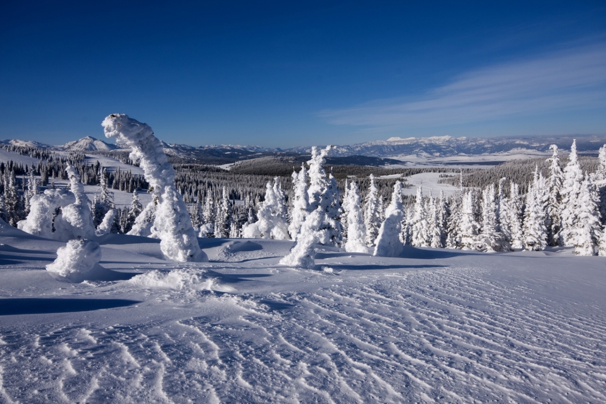 Two Top West Yellowstone Snow Ghosts