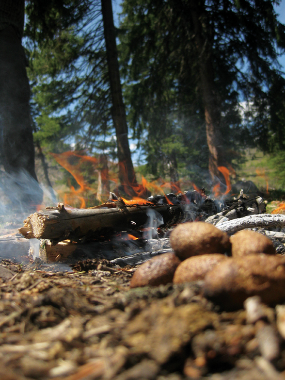 Survival Firestarting Montana