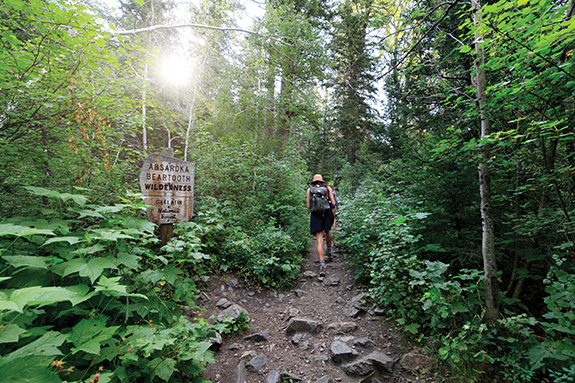 Pine Creek, Absaroka-Beartooth Wilderness Area, Custer-Gallatin Forest Plan Revision