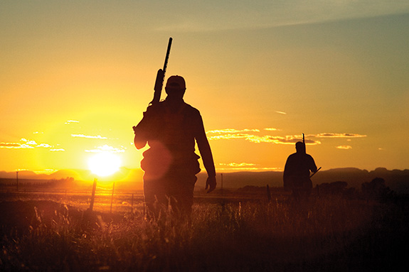 Bird Hunting, Montana, Grouse, Bozeman