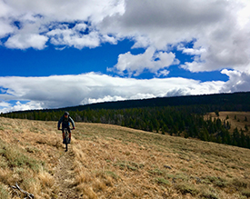 Hatch Adventures, Montana Mountain Biking