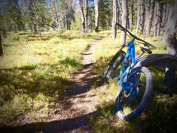 Hatch Adventures, Montana Mountain Biking