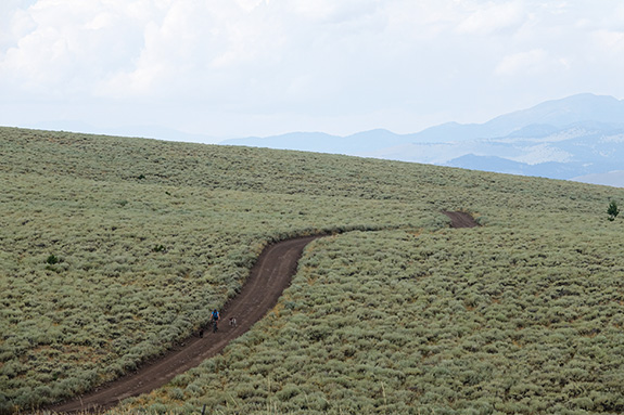 Madison Valley, biking