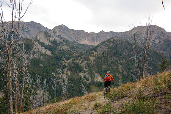 Mountain Biking, Lionhead, Montana, Custer Gallatin Forest Plan Revision