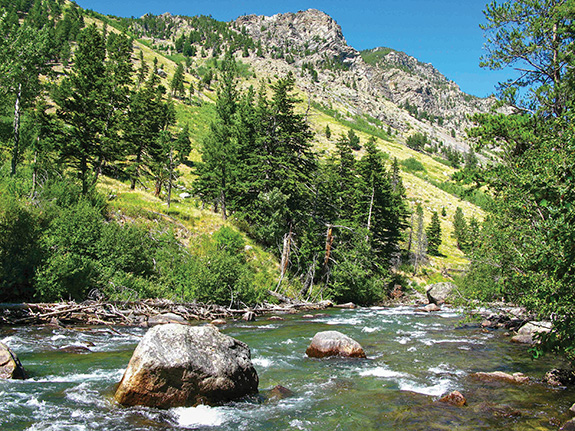 East Rosebud, Wild & Scenic, American Rivers