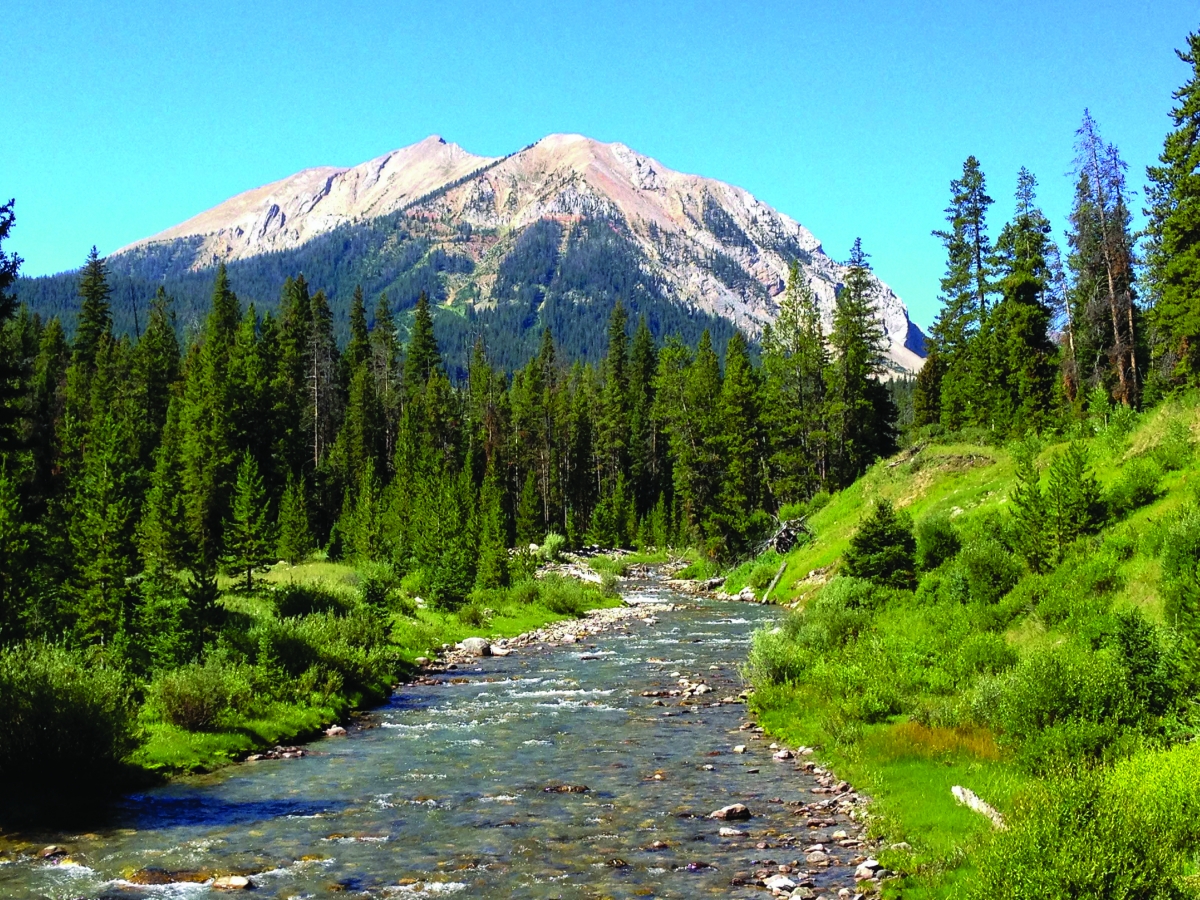 Taylor Fork, Wild & Scenic Act