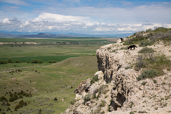 Madison Buffalo Jump, Madison Valley, Montana State Parks