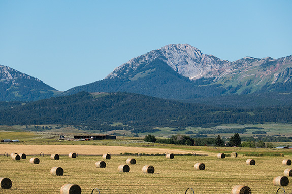 Ross Peak, Bridger Mountains, Bozeman, Montana