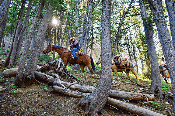 The Lionhead, West Yellowstone, CDT, Mountain Biking