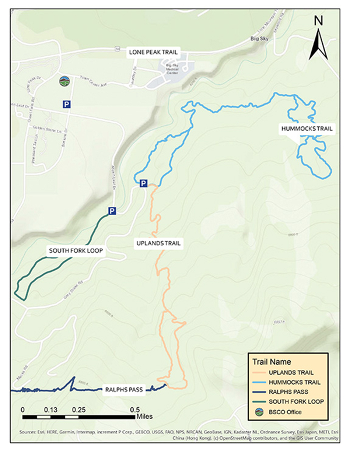 The Hummocks and Uplands Trail System