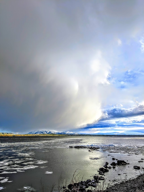 Yellowstone Lake, Yellowstone Cutthroat Trout, Lake Trout