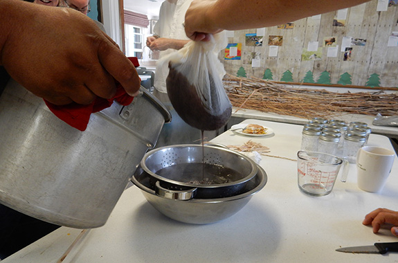 Elderberry Elixir, Native Plants, Yellowstone Forever