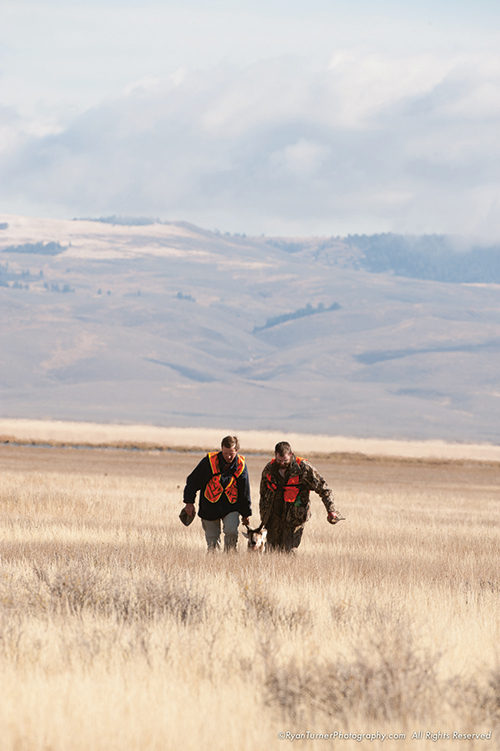 antelope dragging, harvest, pronghorn