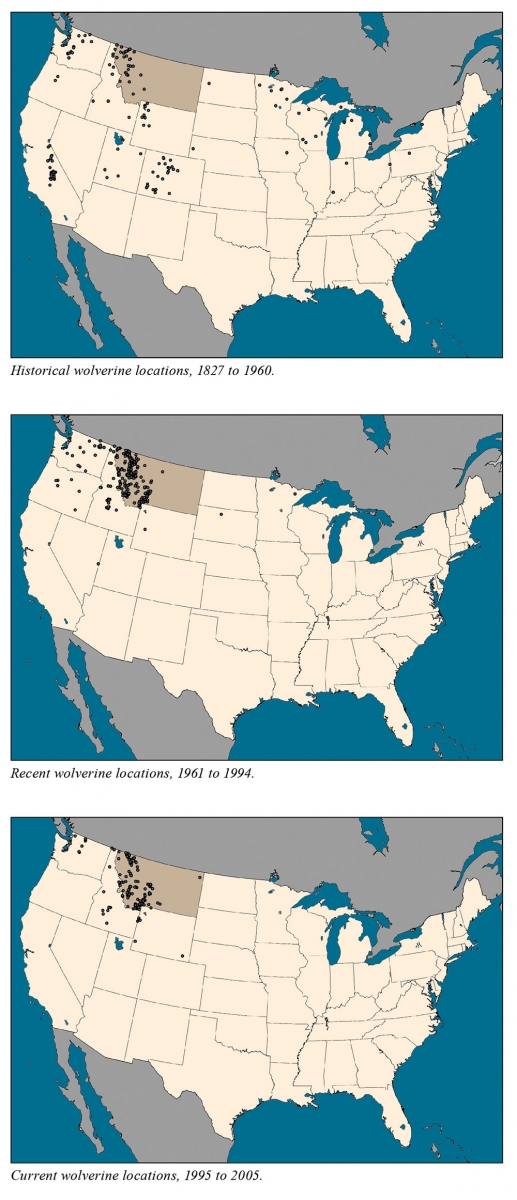 wolverine range, map, historic habitat