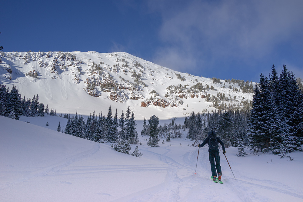 Backcountry skiing, ski touring, alpine, mt. blackmore, hyalite