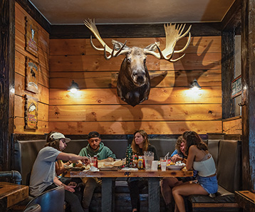 taxidermy bars, moose head, mount