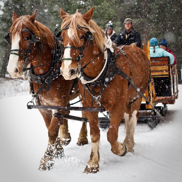 Lone Mountain Ranch Sleigh Ride Dinner