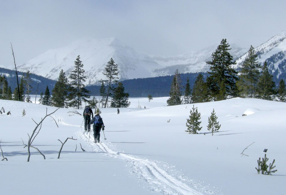 Skiing Gallatin Canyon