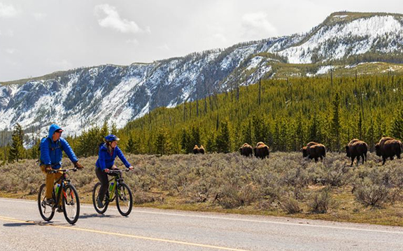 Biking Yellowstone Park Cycling Spring
