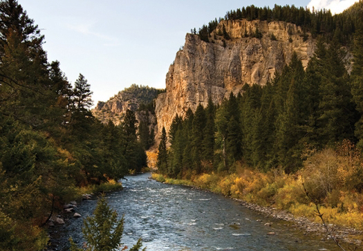 Gallatin River, Gallatin River Guides, Fly Fishing
