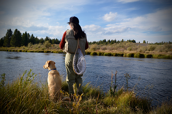 Madison River Fishing