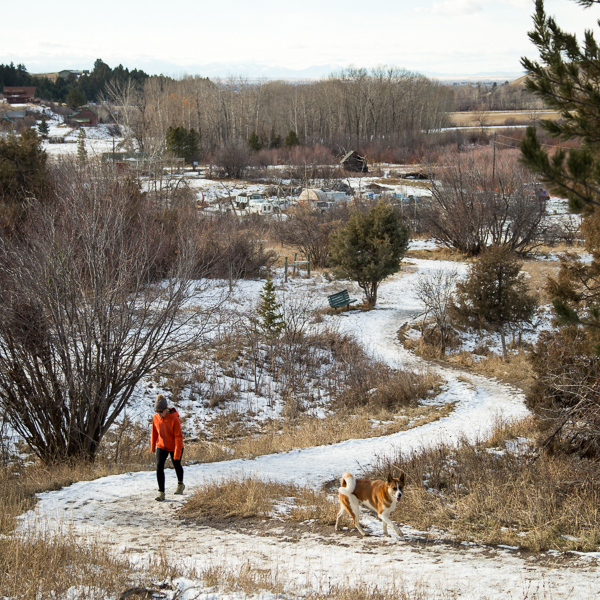 Trails, Drinking Horse, Fall, Snow