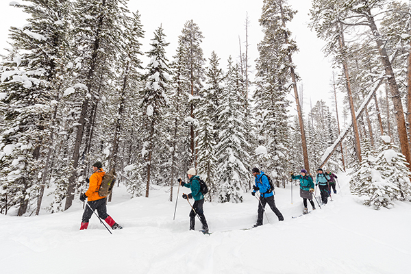 Gardiner, Montana, Lamar Valley, Yellowstone, Winter