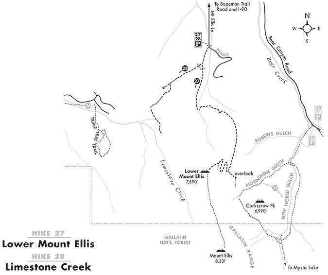 Robert Stone's Lower Mt. Ellis Map