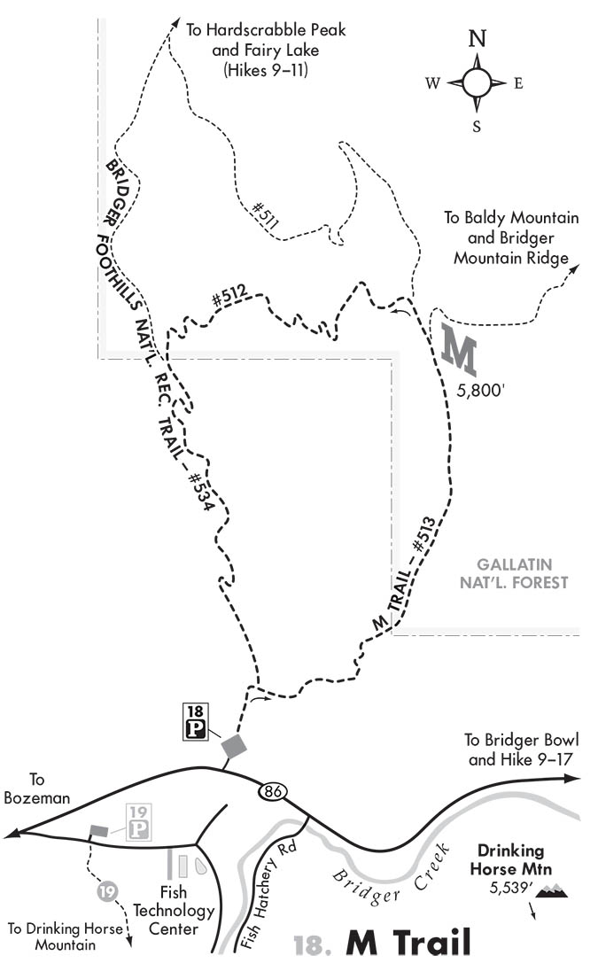 Robert Stone's M Trail Map