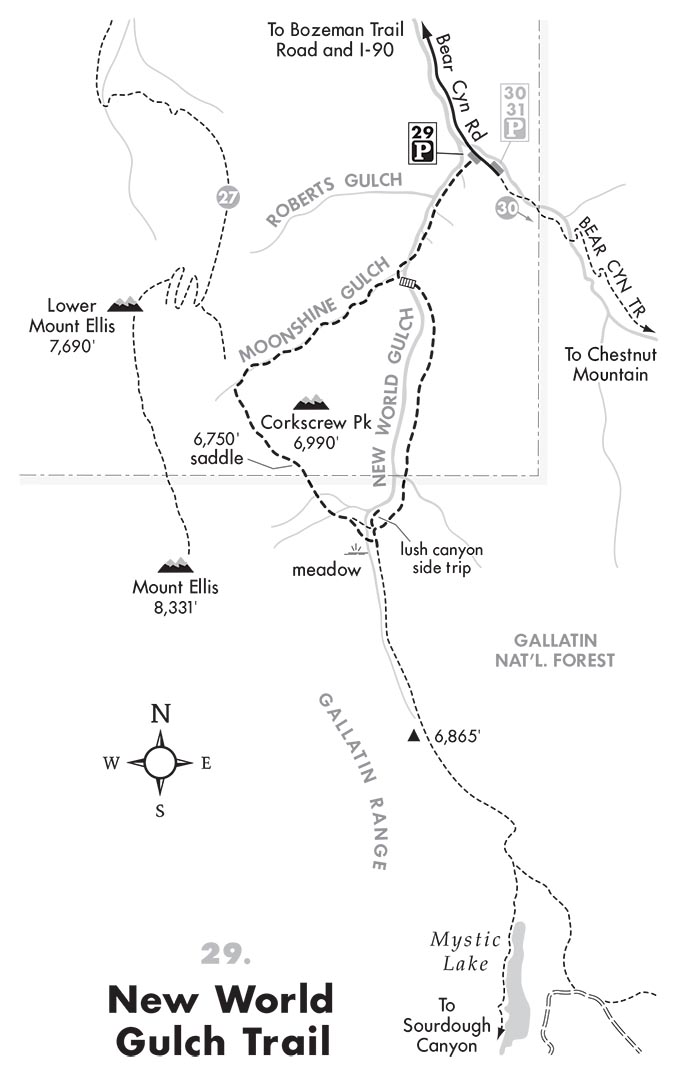 Robert Stone's New World Gulch Trail Map