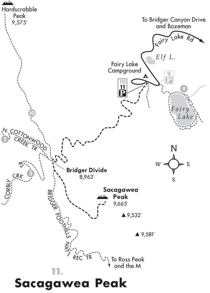 Robert Stone's Sacagawea Peak Map