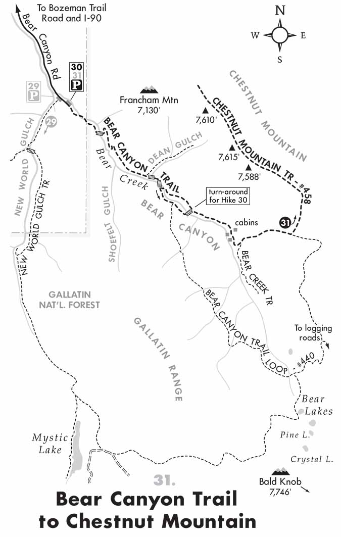 Robert Stone's Bear Canyon Map