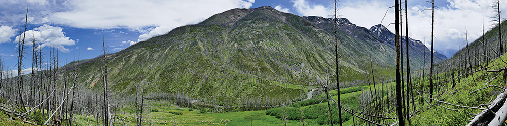 west boulder river landscape