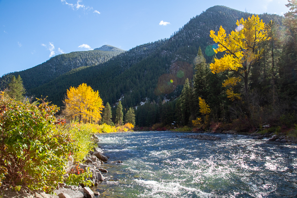 Fishing, Gallatin, MSU