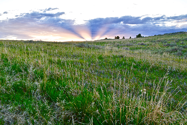 American Prairie Reserve, PN Ranch, Bike Touring