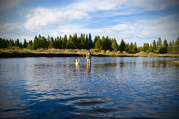 Madison River, West Yellowstone, Fly Fishing