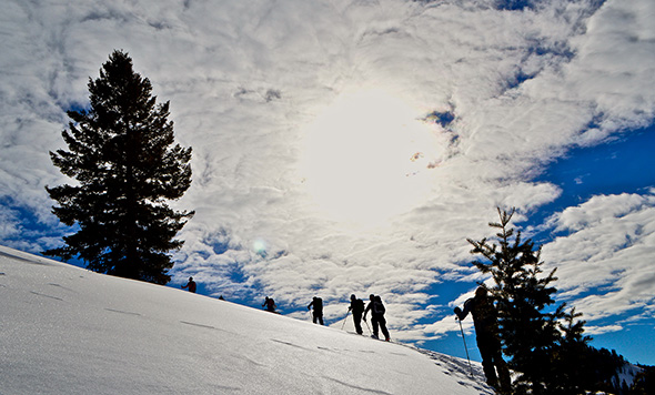 Big Sky Backcountry Guides, Yellowstone Park