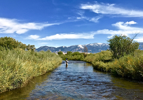 Madison River Fly Fishing  The Tackle Shop - Ennis, Montana