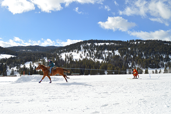 Skijoring, Red Lodge, Montana 