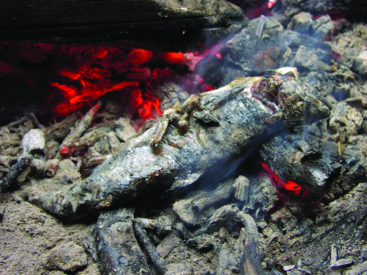 Cooking Trout on coals