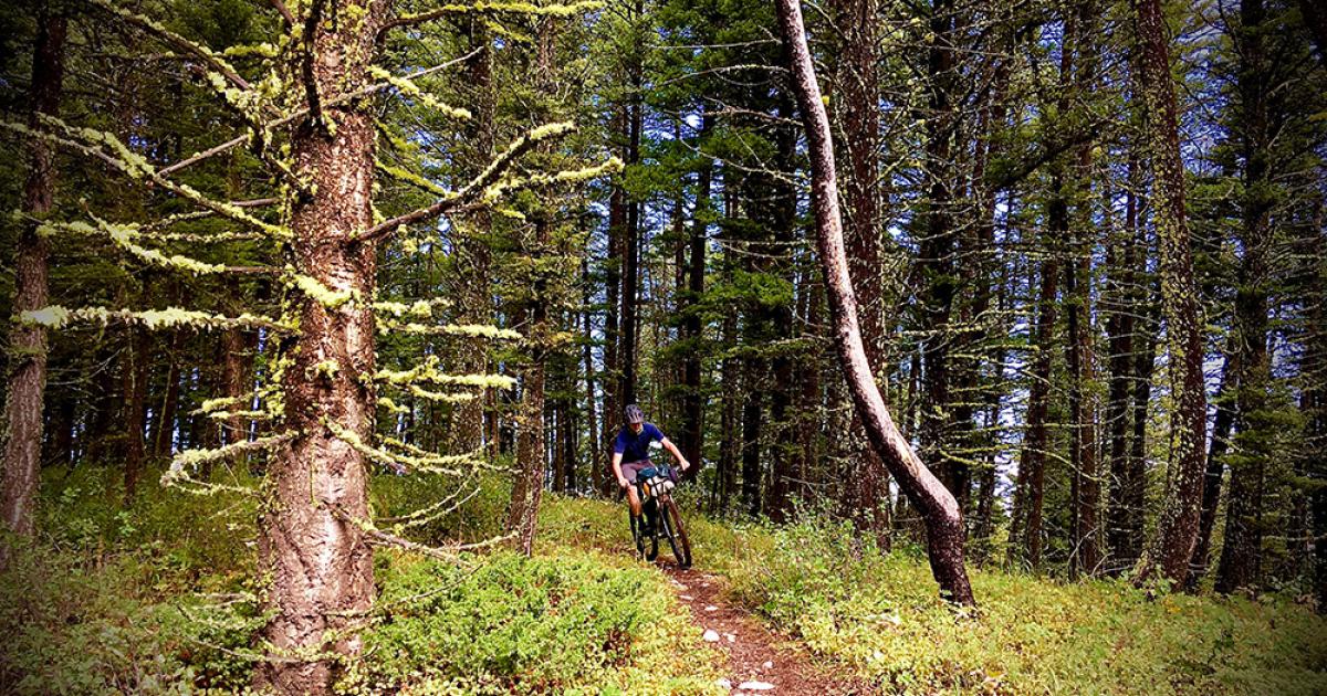 Moser Creek Loop  Outside Bozeman