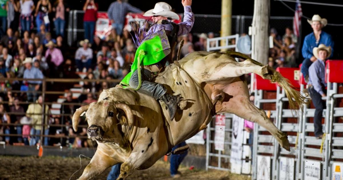 Livingston Rodeo Outside Bozeman