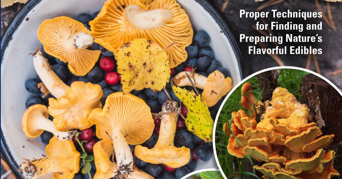 Book A Guide to Wild Food Foraging Outside Bozeman