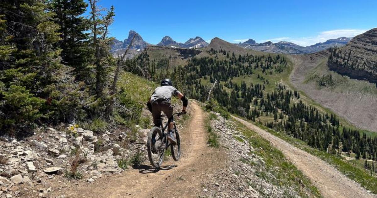 Grand targhee mtb sales