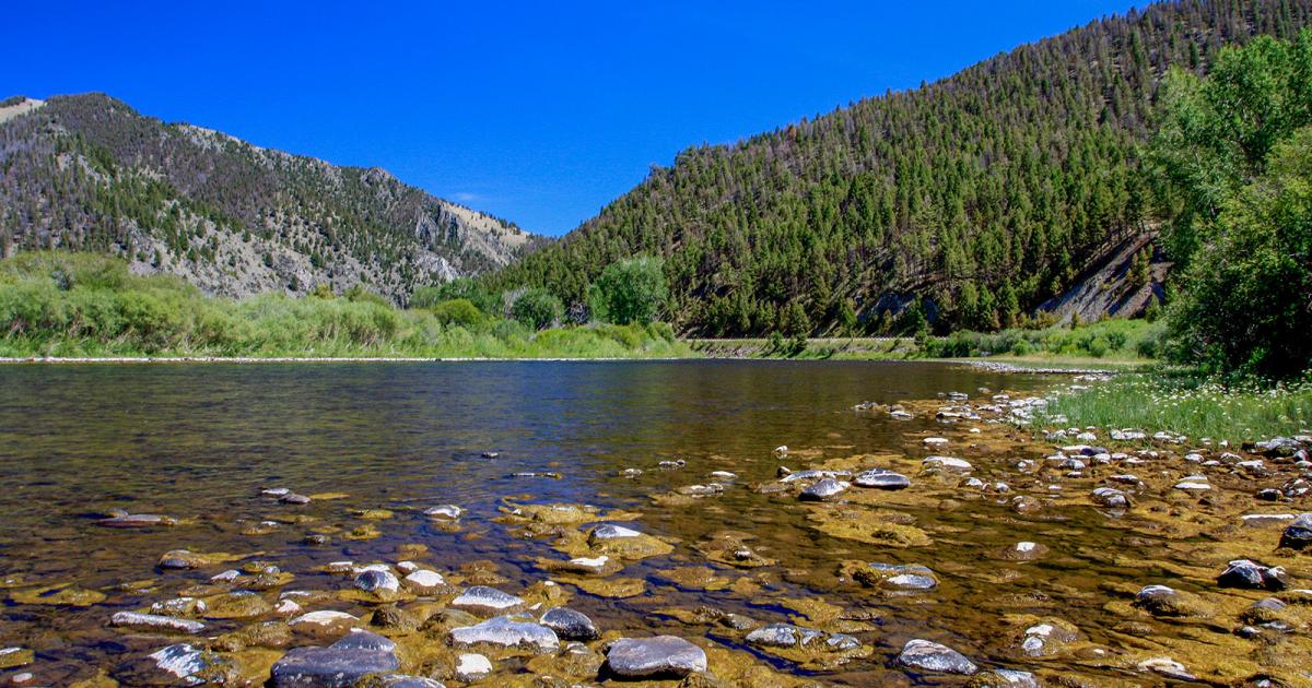 Casting Curfew Outside Bozeman