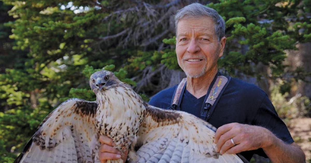 Raptor ID Workshop | Outside Bozeman