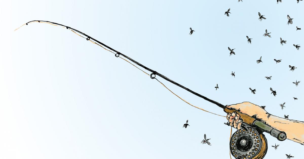 Why Do I Like Fishing? | Outside Bozeman