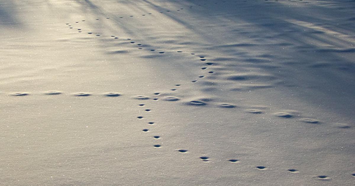 Ground School | Outside Bozeman